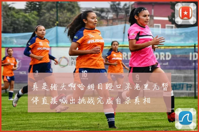 真是猪头啊哈姆目瞪口呆老里无暂停直接喊出挑战完成自杀真相